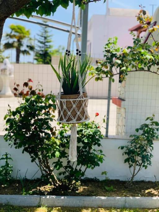 Mom'S Seaside Home Karianí Екстериор снимка
